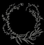 手绘花png