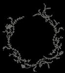 手绘花png