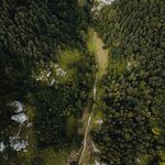 山林小路俯瞰图