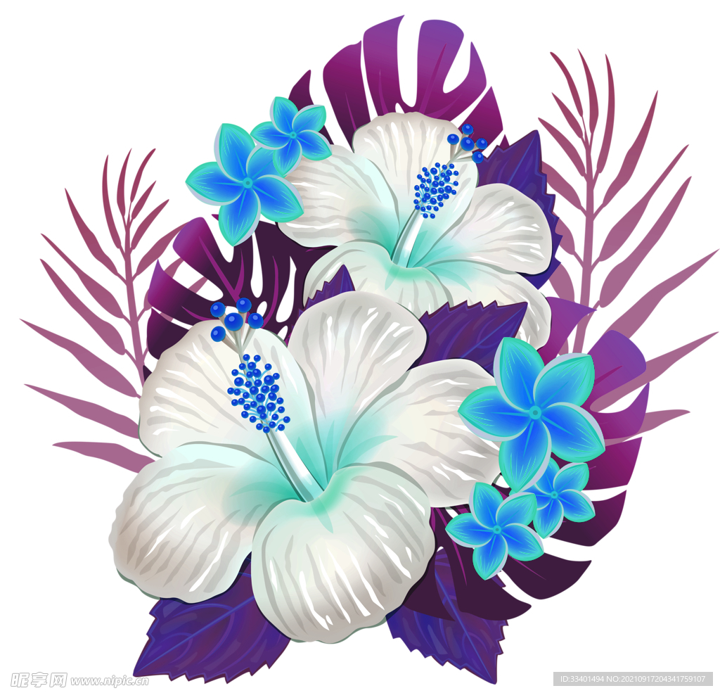手绘花 热带花