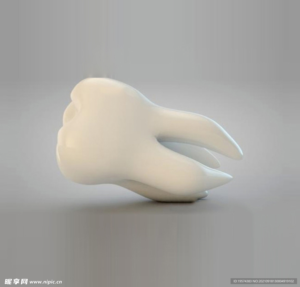 C4D模型牙齿