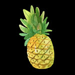 手绘可爱卡通写实水果图菠萝图片