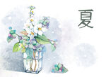 夏花之灿烂