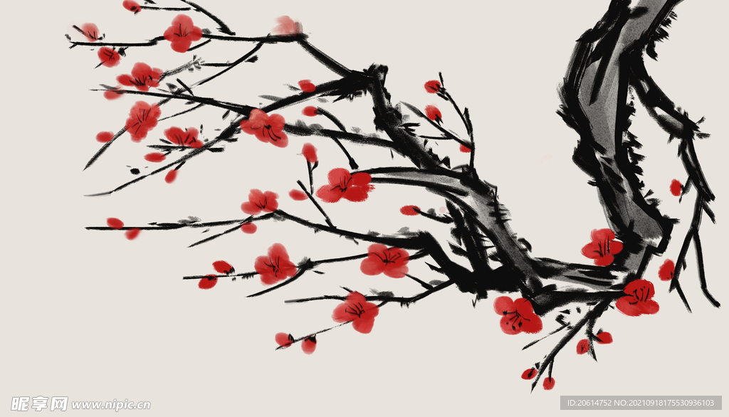 盛开的梅花