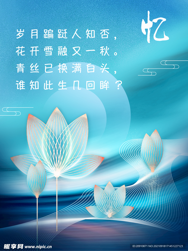 荷花