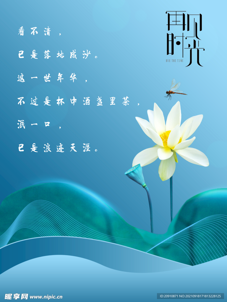 荷花背景