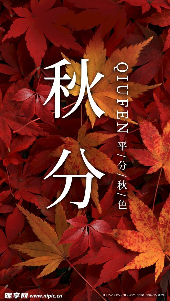 秋分海报