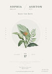 手绘植物海报psd