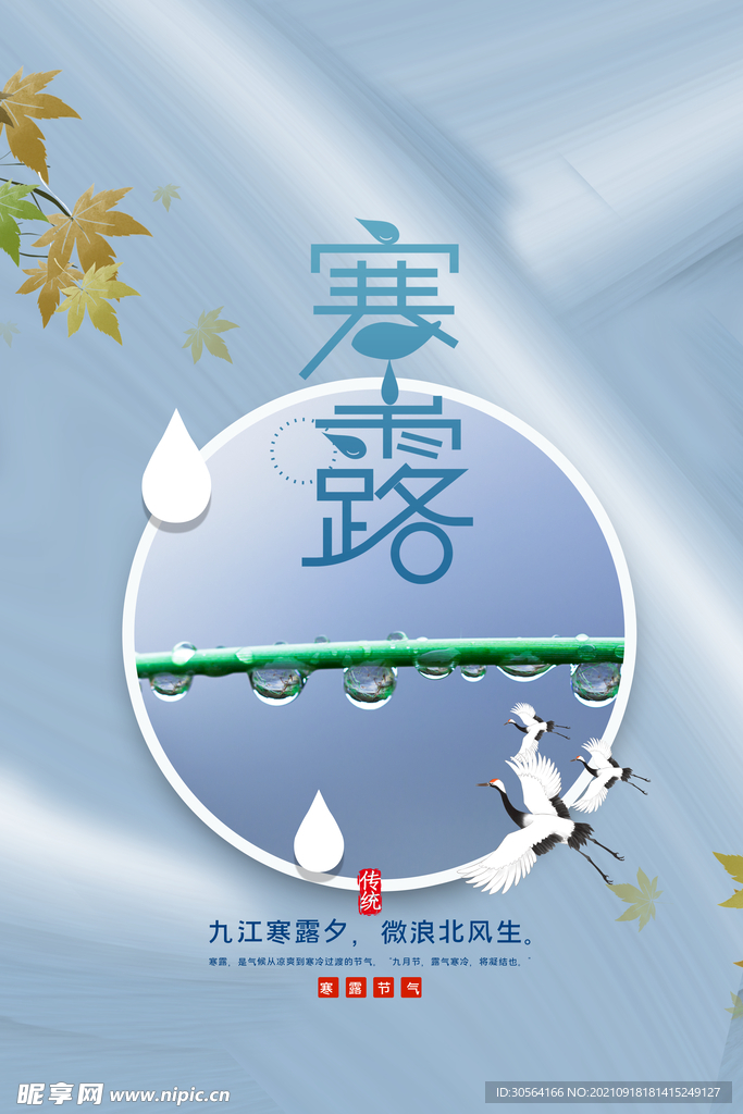 寒露
