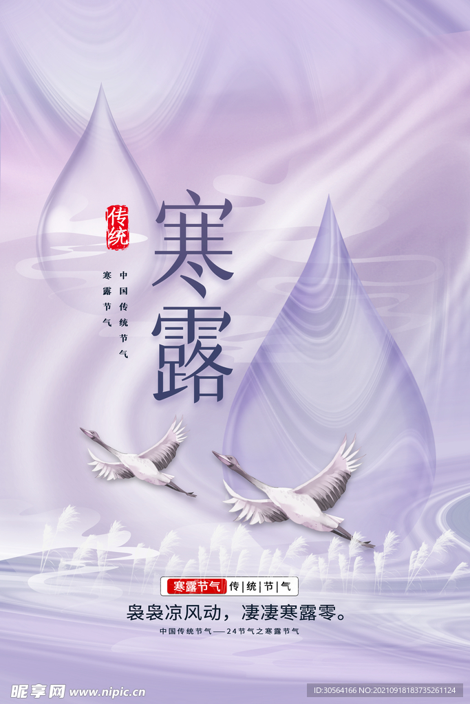 寒露