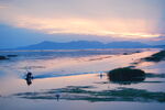 东平湖