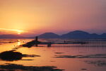 东平湖