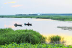 东平湖湿地