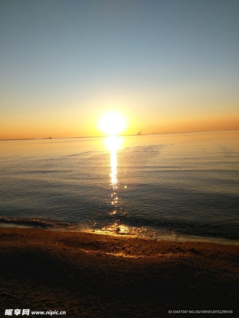 海上金光