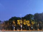 美好校园夜