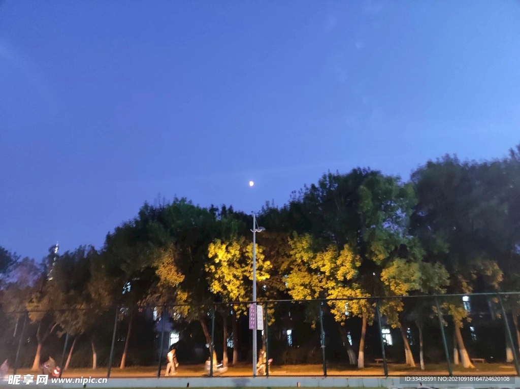 美好校园夜