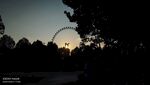 摩天轮夜景