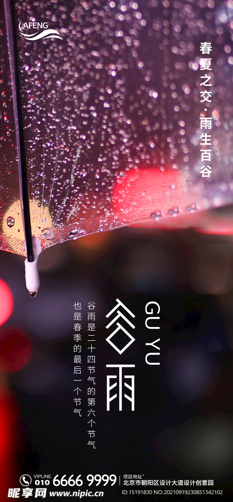 谷雨节气海报