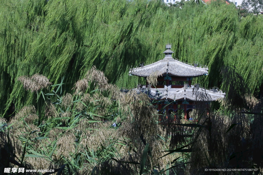 陶然亭风景