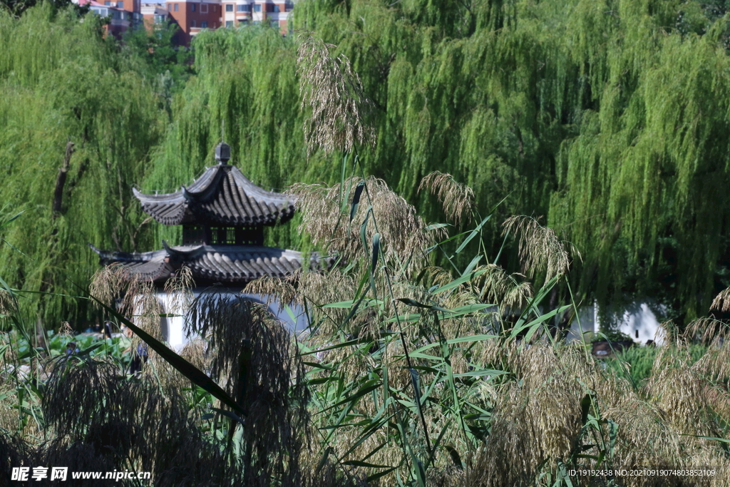 陶然亭风景 