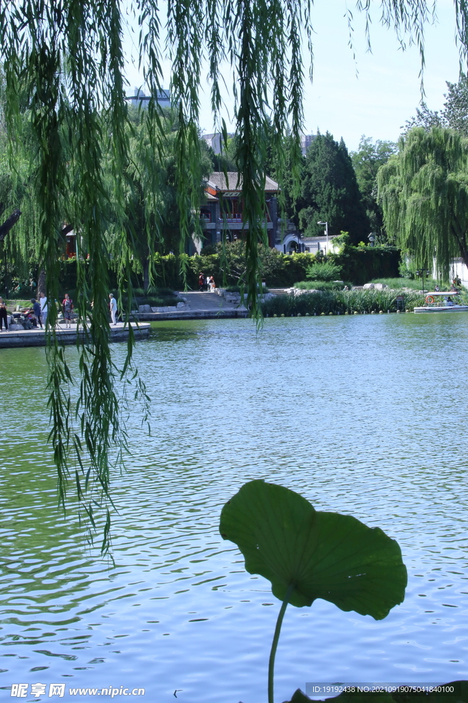 陶然亭风景 