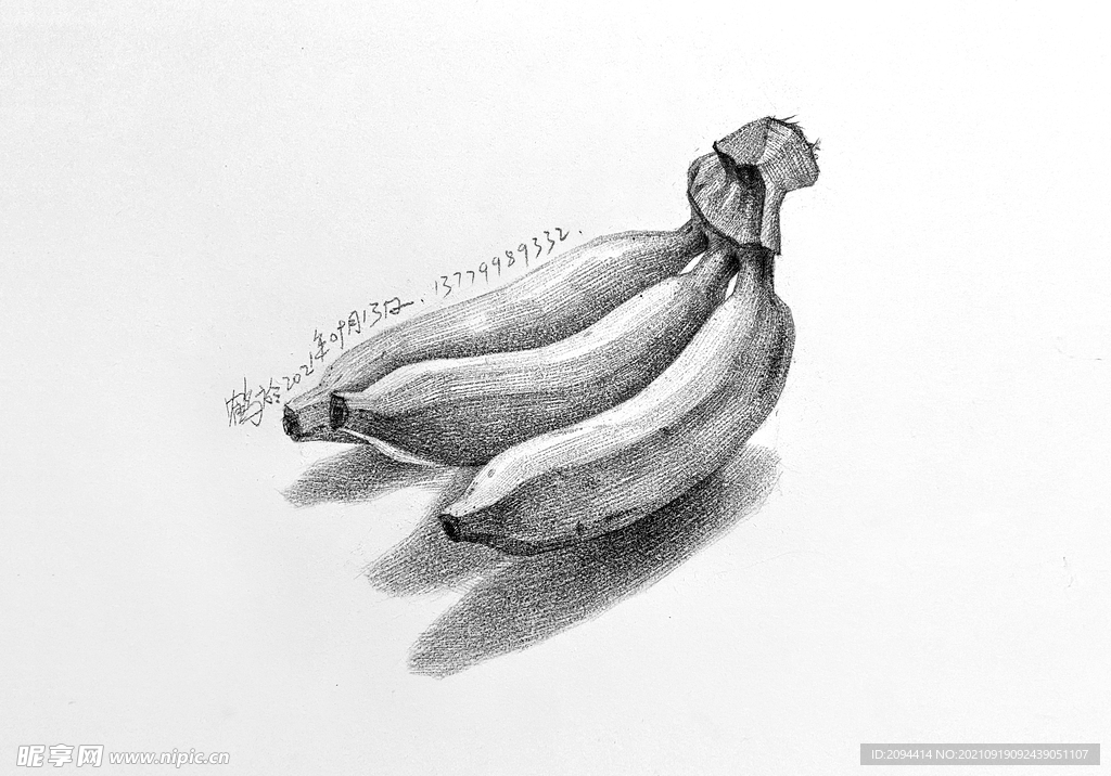 静物香蕉素描写生