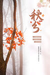 秋分