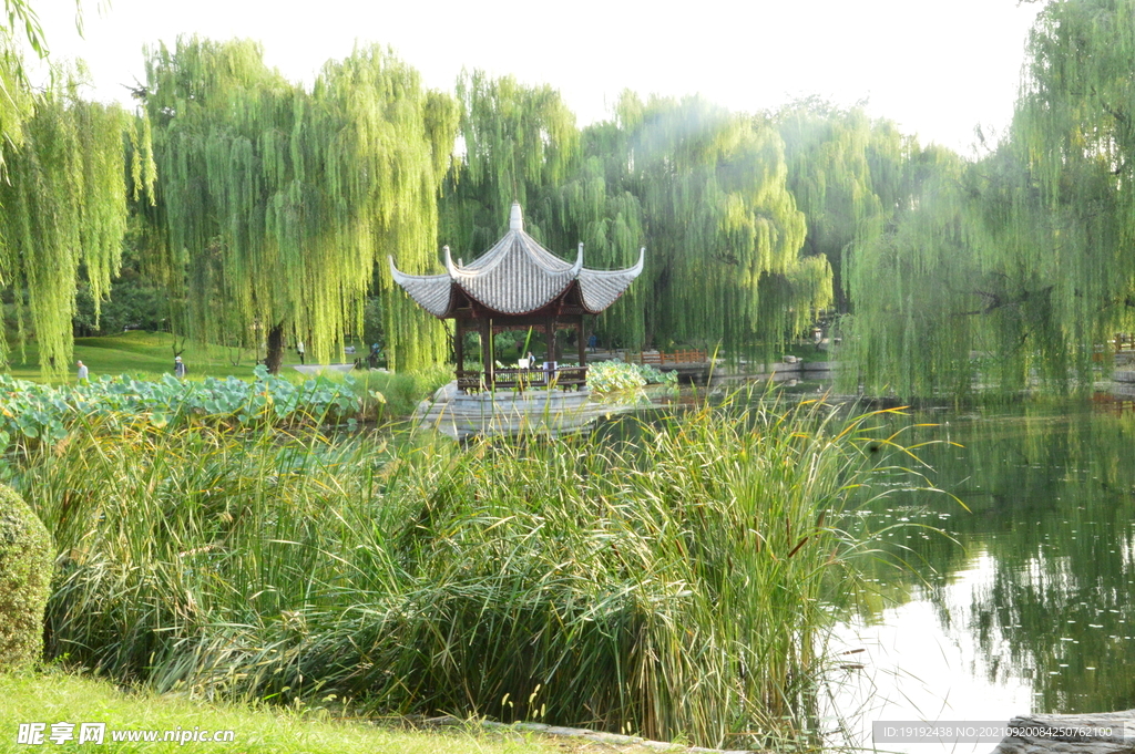 陶然亭风景