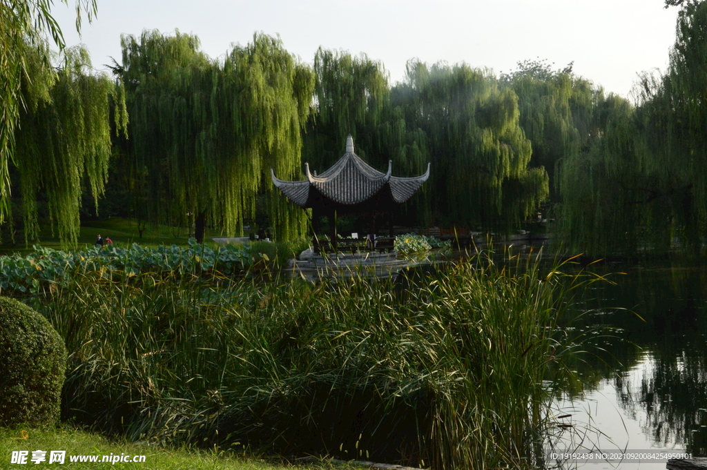 陶然亭风景