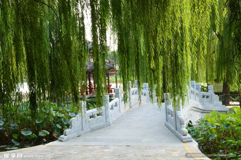 陶然亭风景 