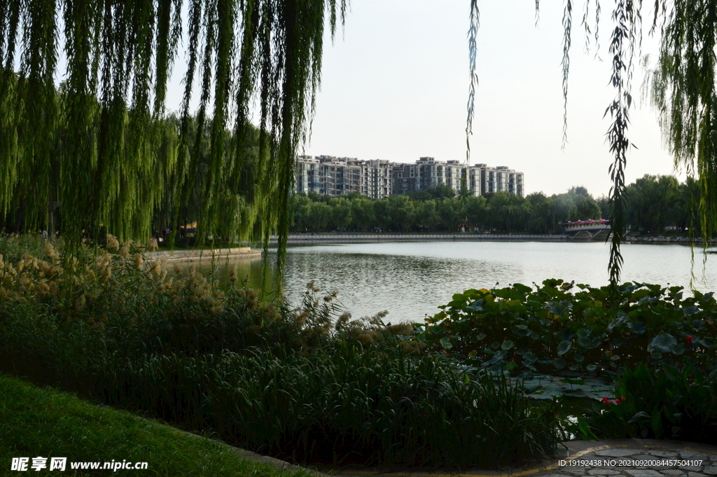 陶然亭风景
