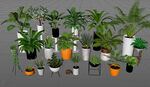C4D模型植物盆栽模型