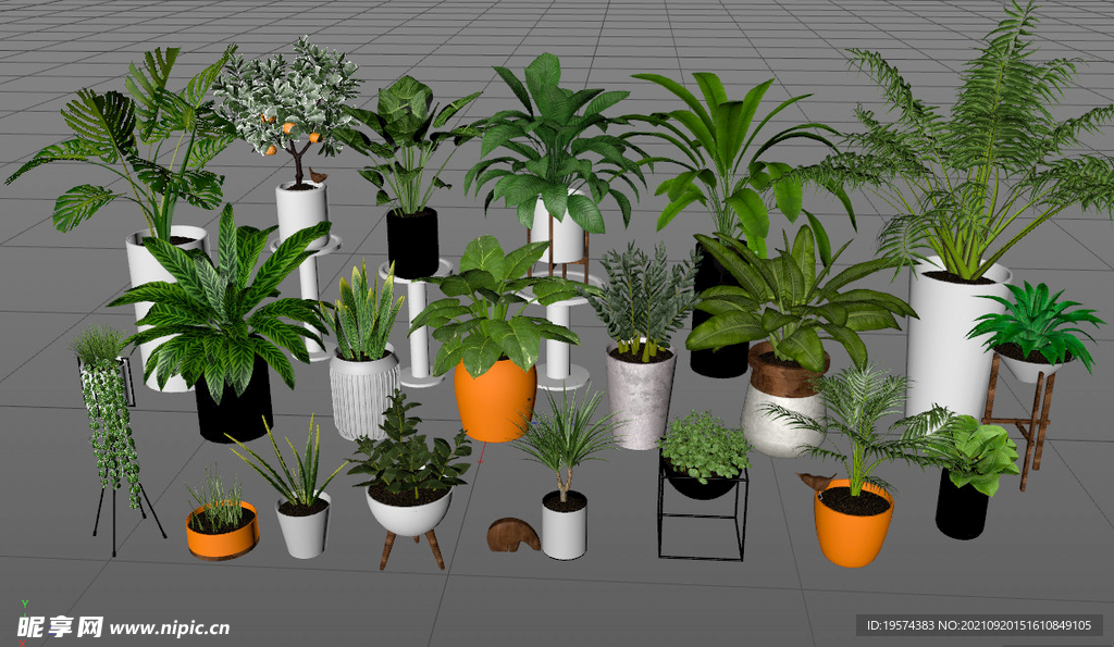 C4D模型植物盆栽模型