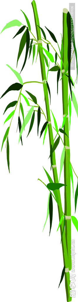 翠竹