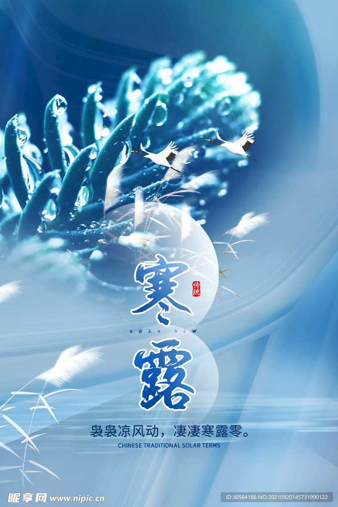 寒露