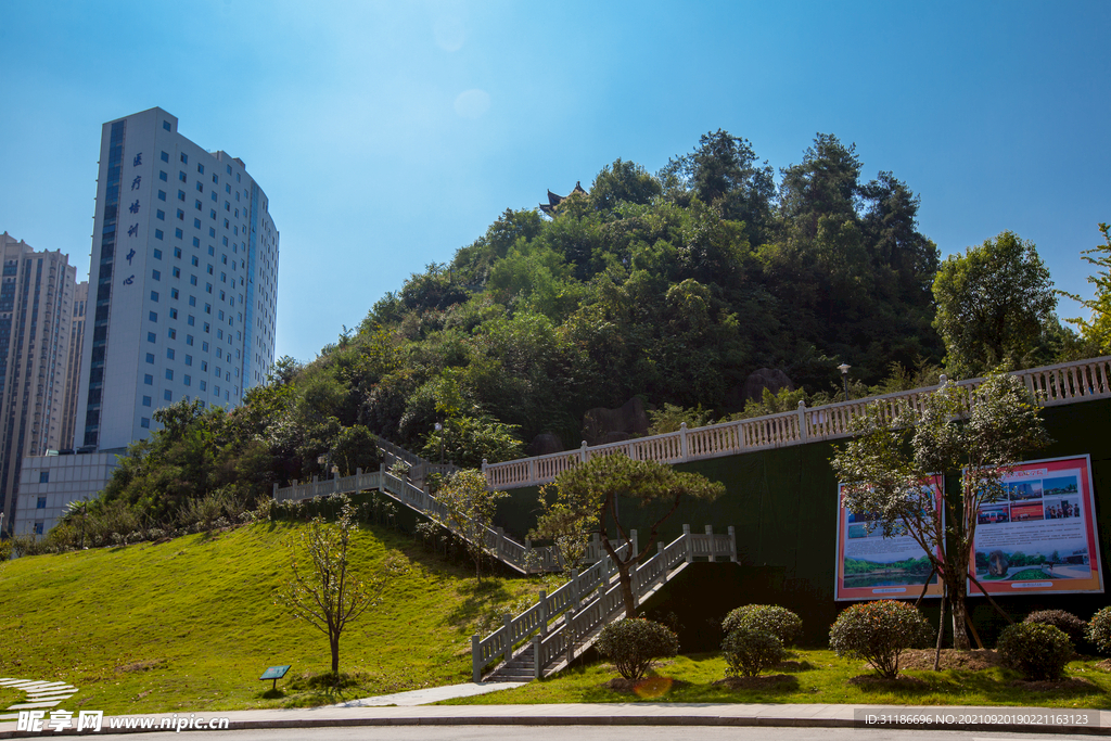 湖北医药学院