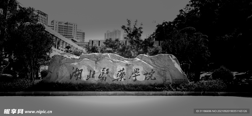 湖北医药学院