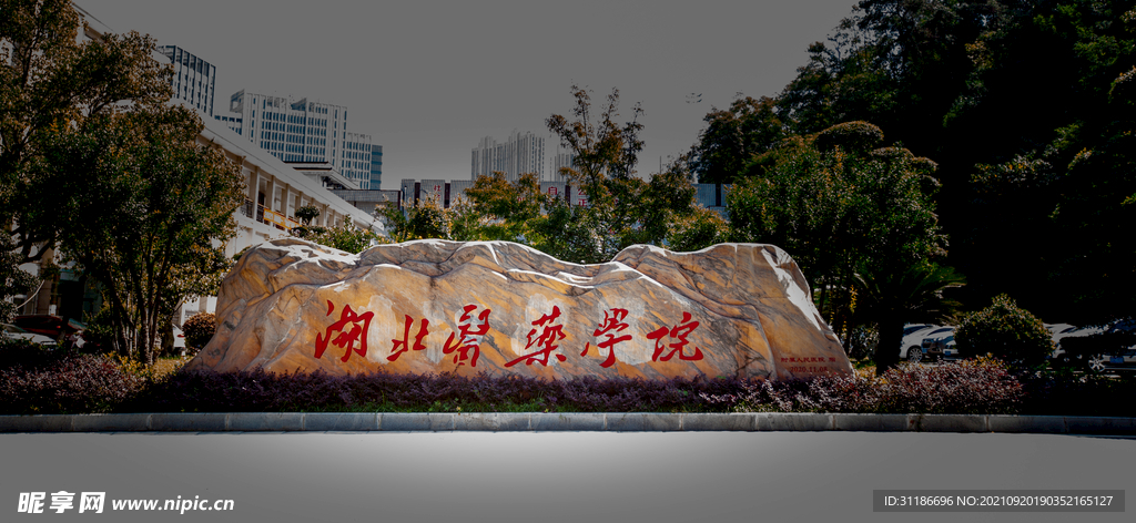 湖北医药学院