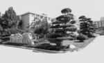 湖北医药学院