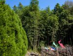 十堰龙泉寺旅游区
