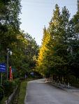 十堰牛头山国家森林公园