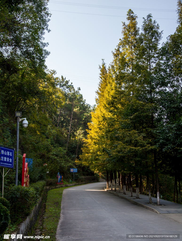 十堰牛头山国家森林公园