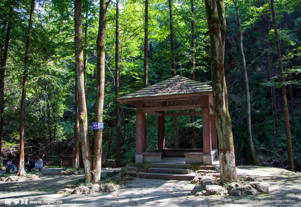 十堰牛头山国家森林公园