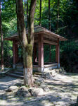 十堰牛头山国家森林公园