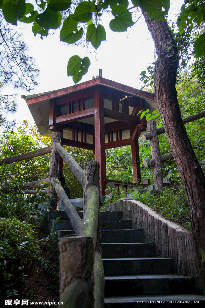 十堰市灼春园
