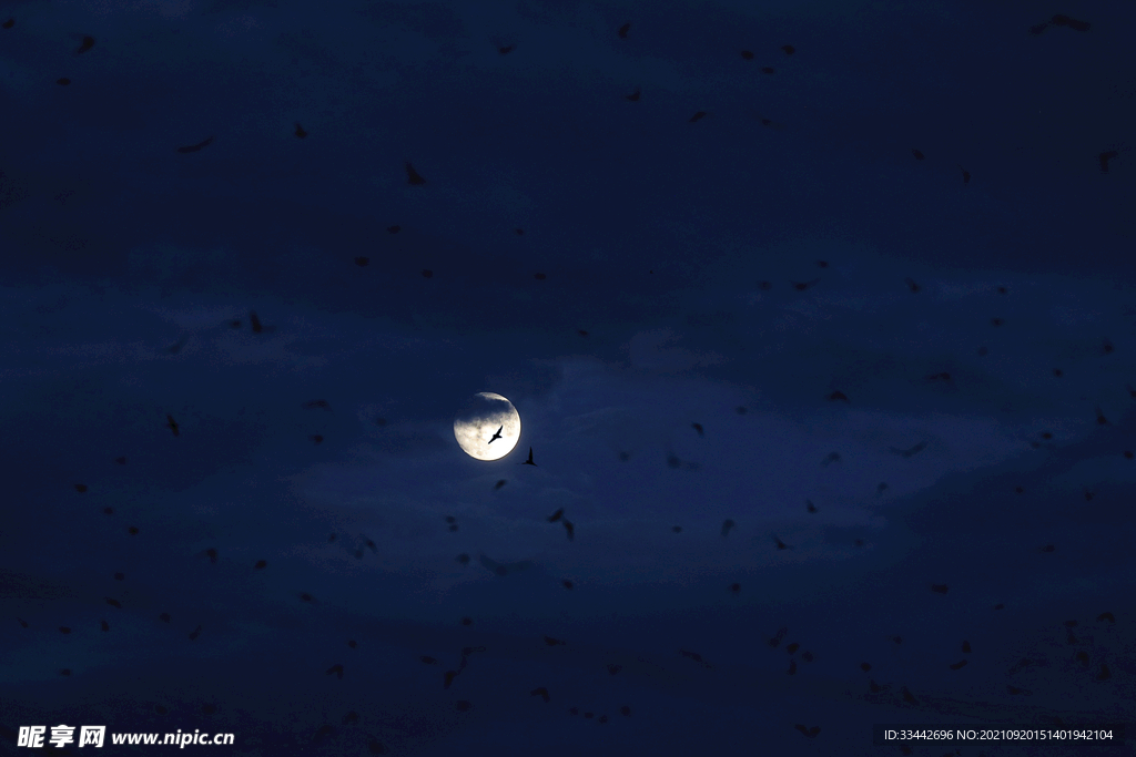 月夜