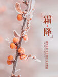 清新简约二十四节气霜降节气海报