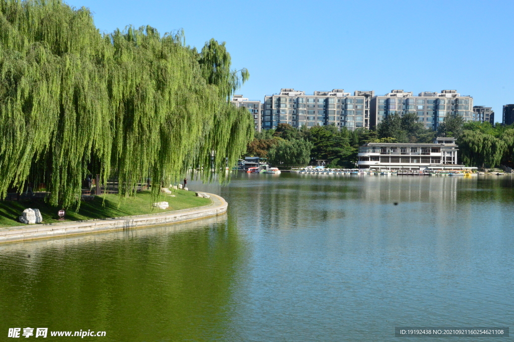 陶然亭风景 