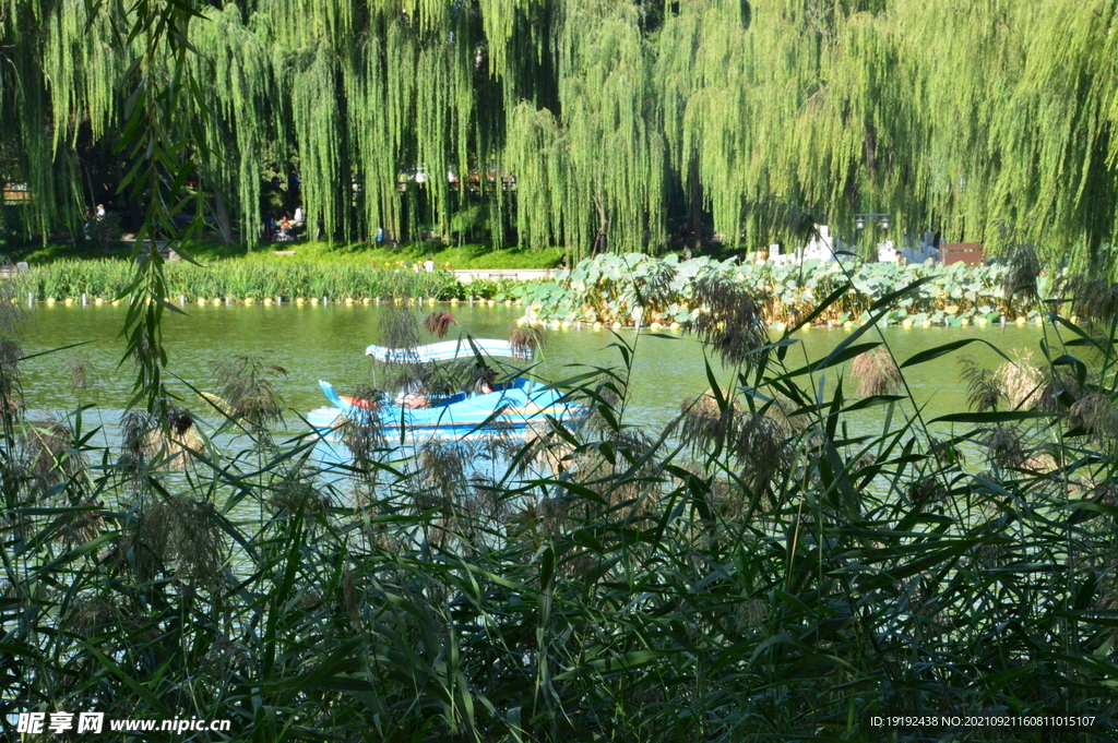 陶然亭风景