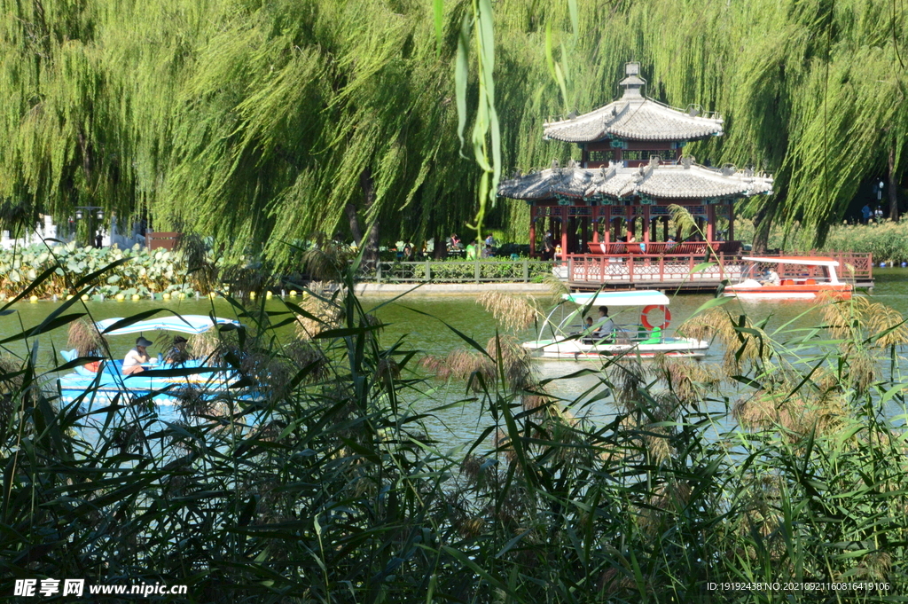 陶然亭风景